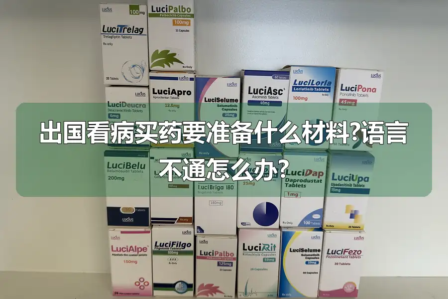 出国看病买药要准备什么材料?语言不通怎么办?